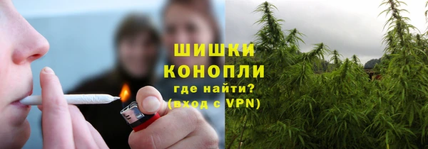 прущие грибы Зерноград