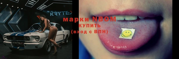 прущие грибы Зерноград