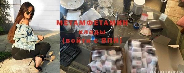 прущие грибы Зерноград