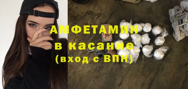 прущие грибы Зерноград