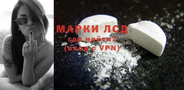 прущие грибы Зерноград