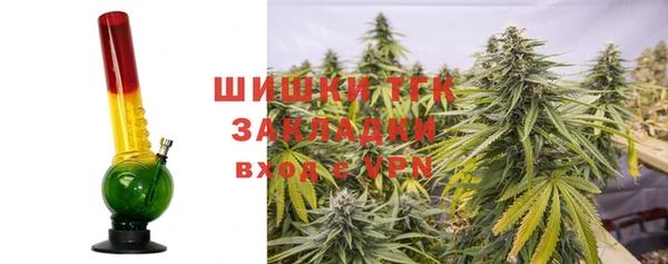прущие грибы Зерноград