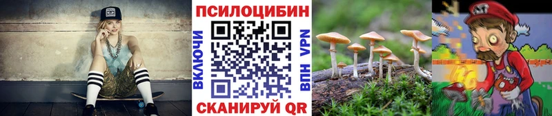 Купить закладки  Сальск  Псилоцибиновые грибы MAGIC MUSHROOMS 